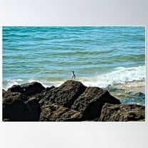 Coastal Ocean Rocks Seagull Seashore Seascape Poster Wall Art, Modern Wall Decor For Living Room Bedroom, 8x12 UNFRAMED