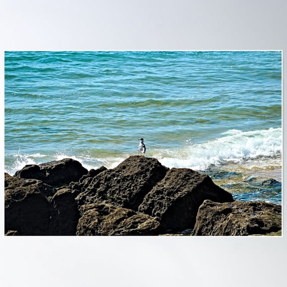 Coastal Ocean Rocks Seagull Seashore Seascape Poster Wall Art, Modern Wall Decor For Living Room Bedroom, 8x12 UNFRAMED