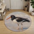 thumbnail image 1 of Coastal Oystercatcher Round Area Rug 4Ft Washable Circle Rugs for Bedroom Dining Room, Beach Ocean Black White Bird Non-Slip Carpet Floor Mats Indoor Outdoor Carpet Runner Aesthetic Home Decor, 1 of 8
