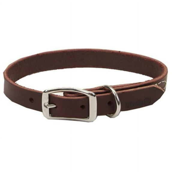 Coastal Pet 02106 B LAT18 .75 x 18 in. Leather Dog Collar