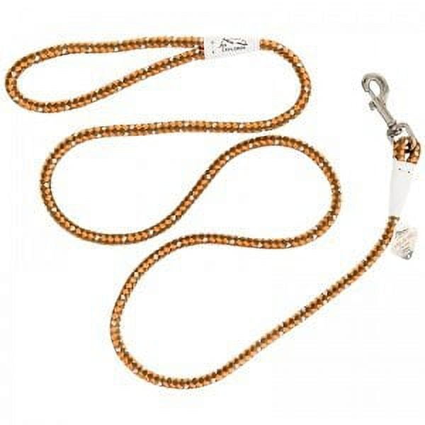 Coastal K9 Explorer Braided Rope Reflective Dog Leash
