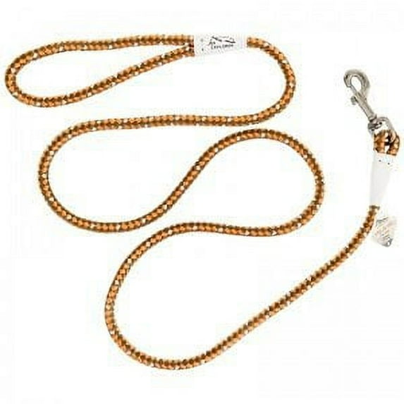 Coastal K9 Explorer Braided Rope Reflective Dog Leash