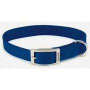 Coastal Pet Nylon Dog Collar (Blue 22 Inch L X 1 Inch W) (Pack of 1)