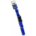 thumbnail image 1 of Coastal Pet Nylon Dog Collar Blue, 1 of 2