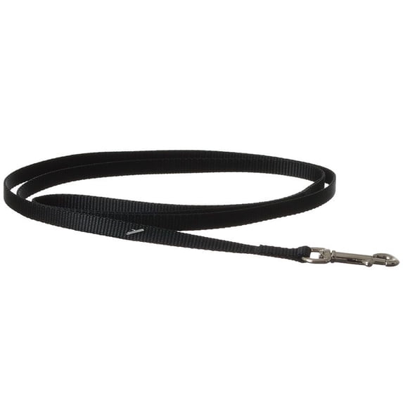 Coastal Pet Nylon Lead - Black - 4' Long X 3/8" Wide