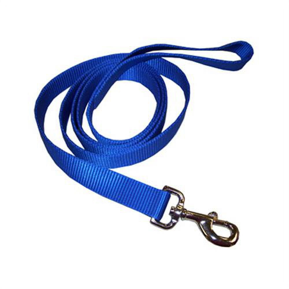 Coastal Pet Products 02906 B BLU06 Dog Leash, 2-Ply, Blue Nylon, 1-In. x 6-Ft.