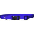 thumbnail image 1 of Coastal Pet Products 1-Inch Nylon Adjustable Dog Collar, Large, Blue, 1 of 2