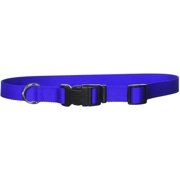 Coastal Pet Products 1-Inch Nylon Adjustable Dog Collar, Large, Blue