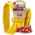 thumbnail image 1 of Coastal Pet Products 21414XSM-YLW Yellow Accent Dog Harness, 1 of 1