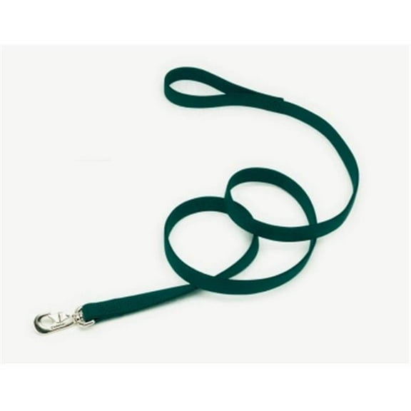 Coastal Pet Products 2906 Double 1 in. Lead - Hunter