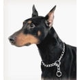 thumbnail image 1 of Titan Choke Chain Training Collar - X-Heavy - 20" Neck, 1 of 3