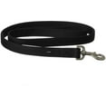 thumbnail image 1 of Coastal Pet Products Nylon Double Dog Collar and Double Ply Dog Leash, 1 of 3