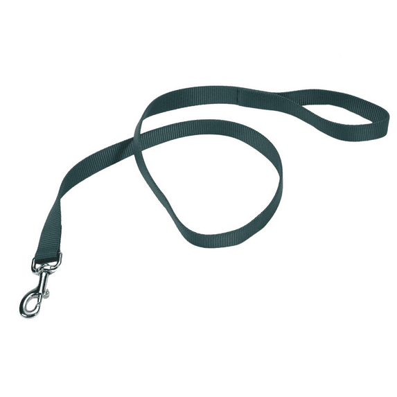 Coastal Pet Single Nylon Lead - Hunter Green - 6' Long X 1" Wide