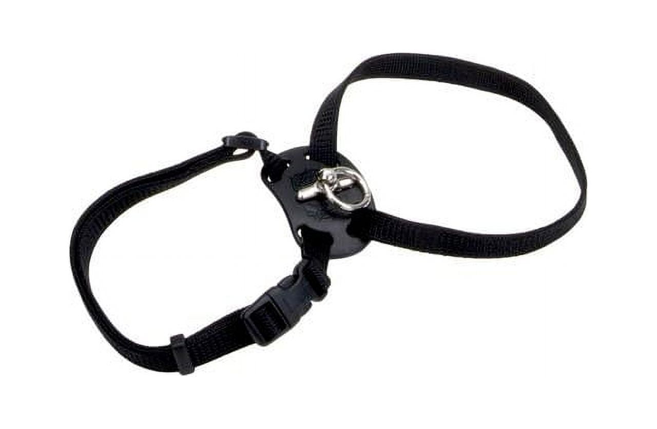 Coastal Pet Size Right Adjustable Harness for Cats Black
