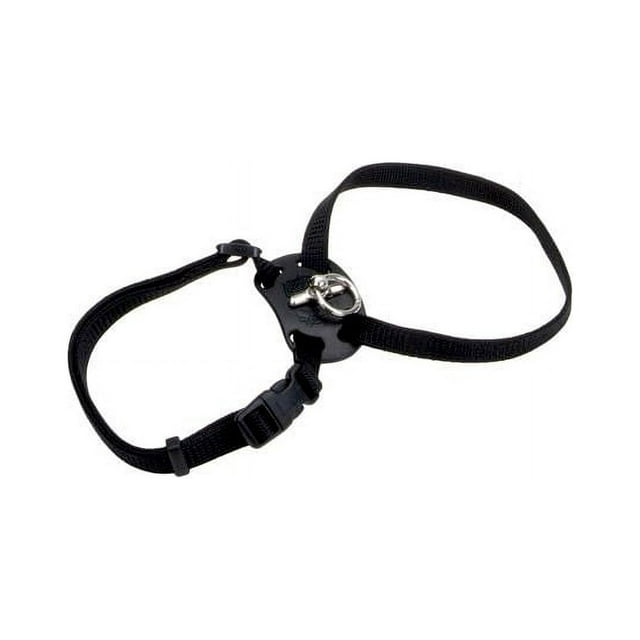 Coastal Pet Size Right Adjustable Harness for Cats Black
