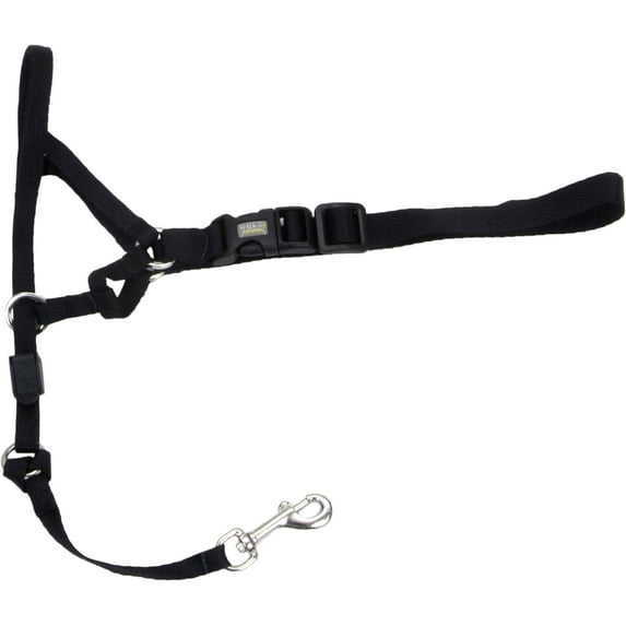 Coastal Pet Walk 'n Train Dog Head Halter Black, LG