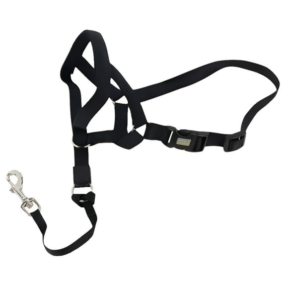 Coastal Pet Walk 'n Train Dog Head Halter Black, MD