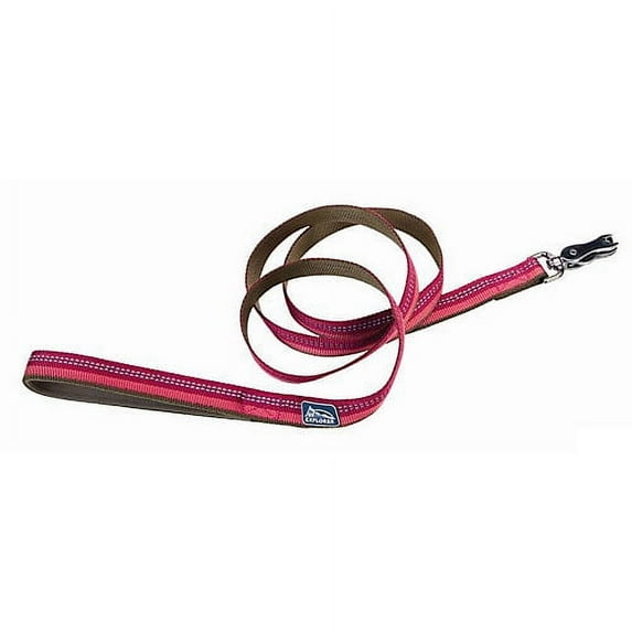 K9 Explorer Reflective Dog Leash with Scissor Snap, Berry, 1-in x 6-ft