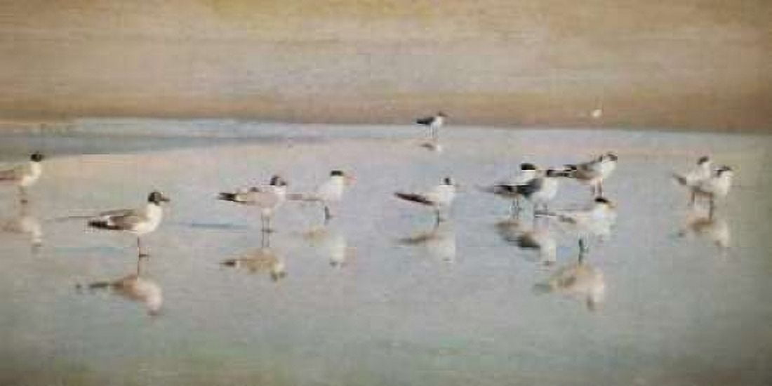 Coastal Reflections Canvas Art - Heather Jacks (10 x 20)