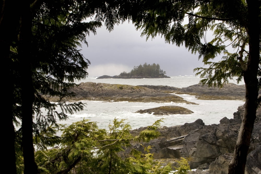 Coastal Scene Tofino British Columbia Canada Canvas Art - Deddeda Design Pics (38 x 24)