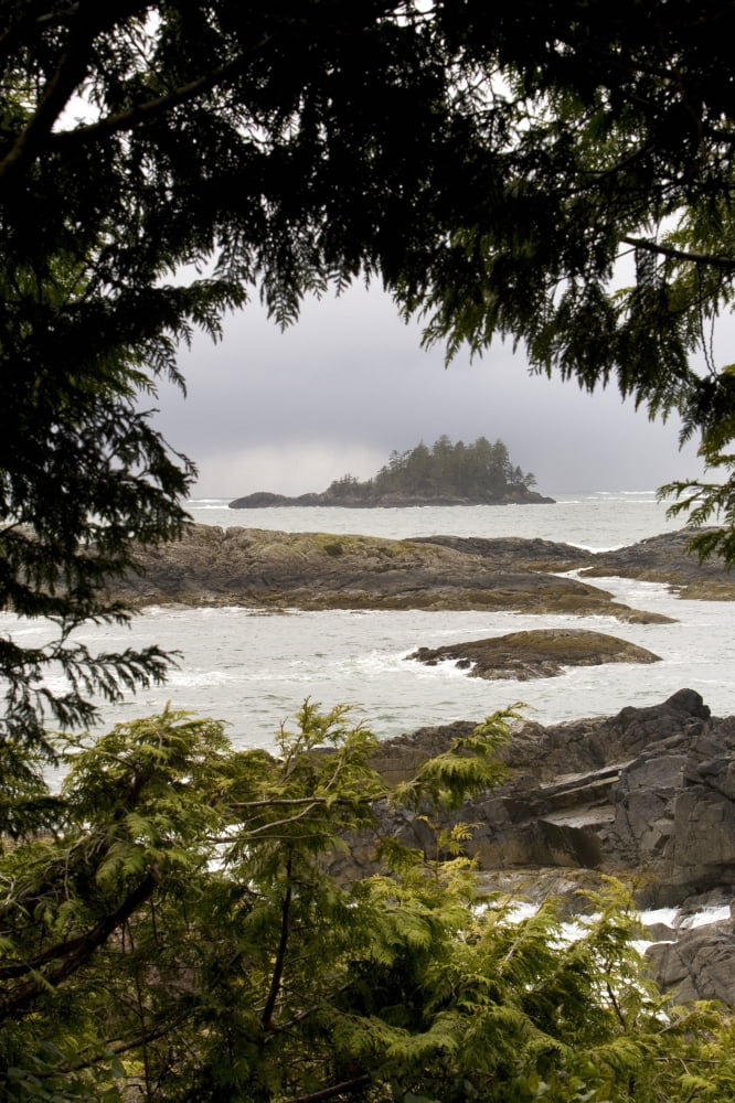 Coastal Scenery Tofino British Columbia Canada Canvas Art - Deddeda Design Pics (24 x 38)