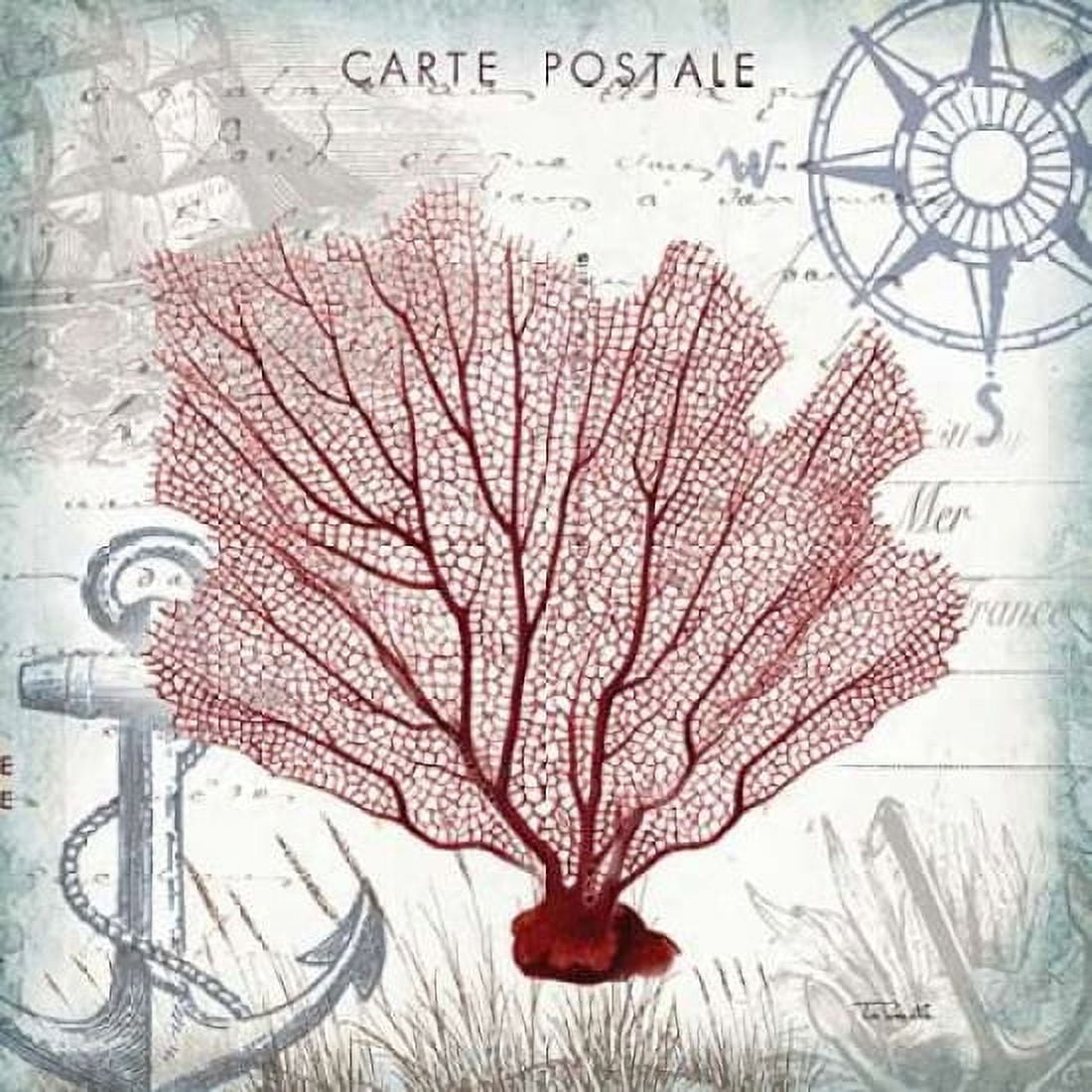 Coastal Sea Life I Canvas Art - Tre Sorelle Studios (24 x 24)