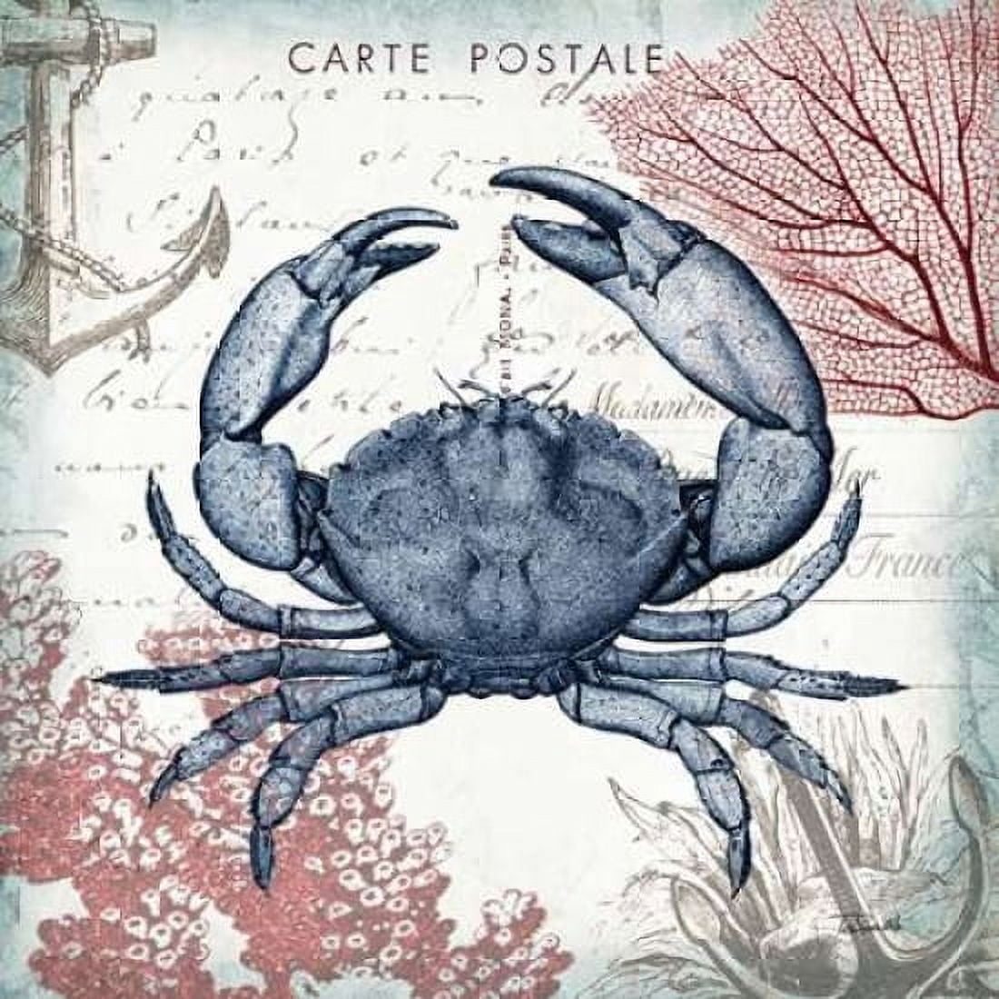 Coastal Sea Life II Canvas Art - Tre Sorelle Studios (24 x 24)