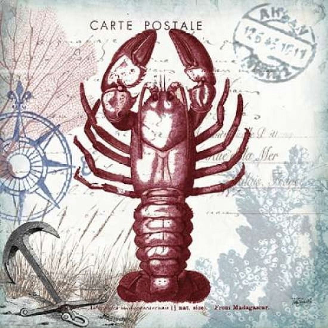 Coastal Sea Life III Canvas Art - Tre Sorelle Studios (24 x 24)