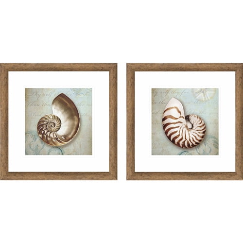 Coastal Shell Coastal Wall Art, Set of 2 - Walmart.com