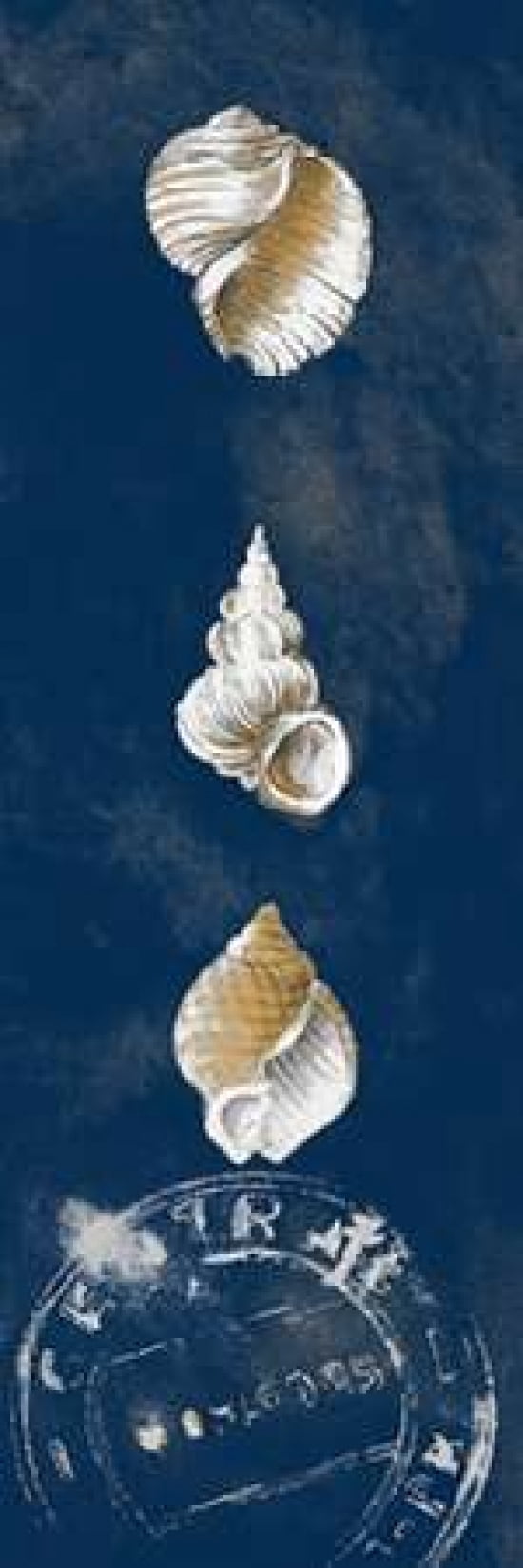 Coastal Shells Panel I Canvas Art - Lanie Loreth (8 x 24)