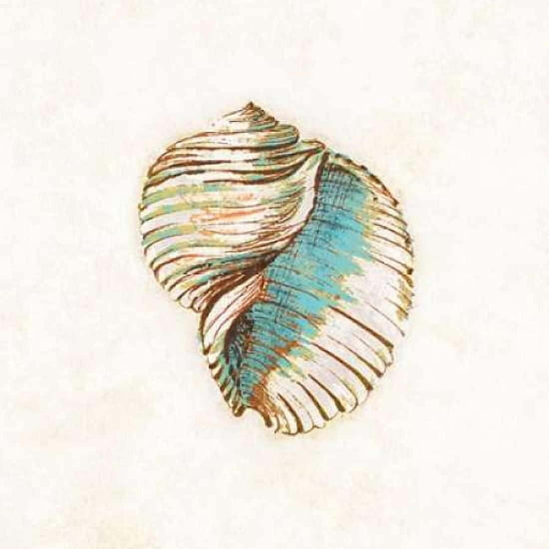 Coastal Teal Seashell I Canvas Art - Lanie Loreth (24 x 24)