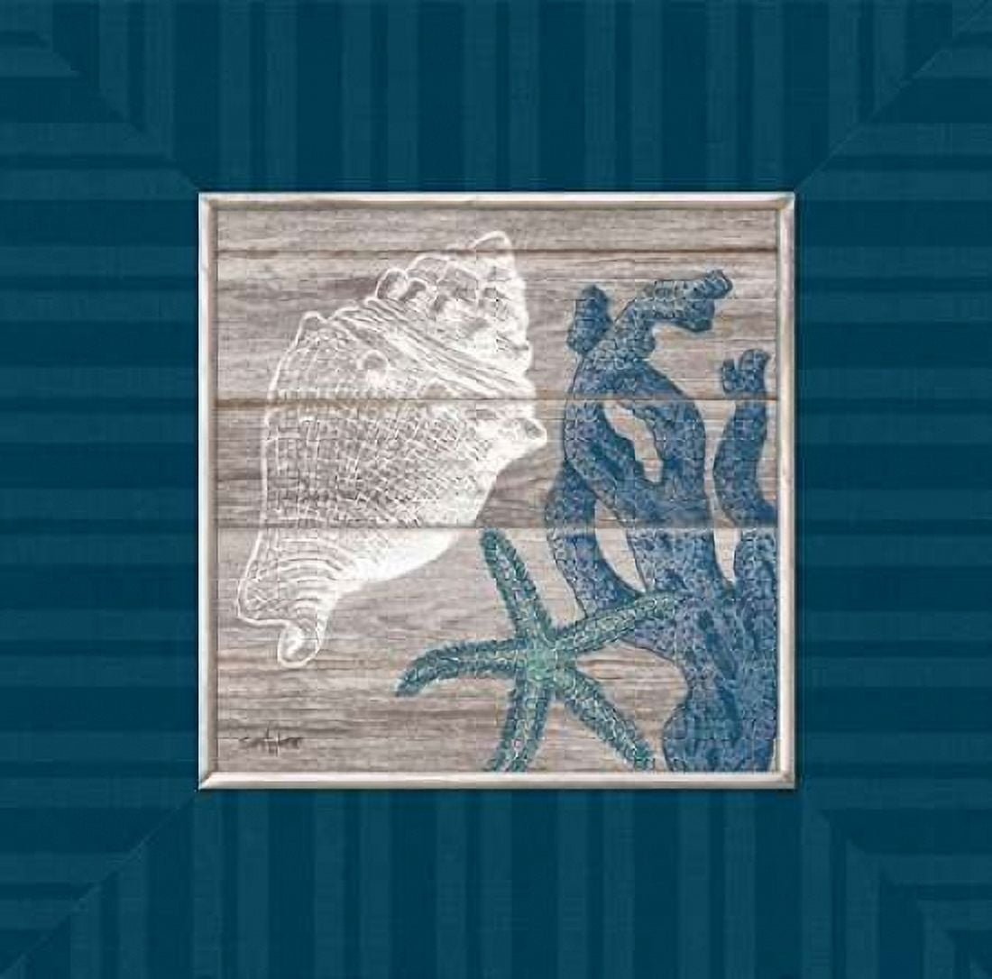 Coastal Treasures Canvas Art - Sam Appleman (24 x 24)