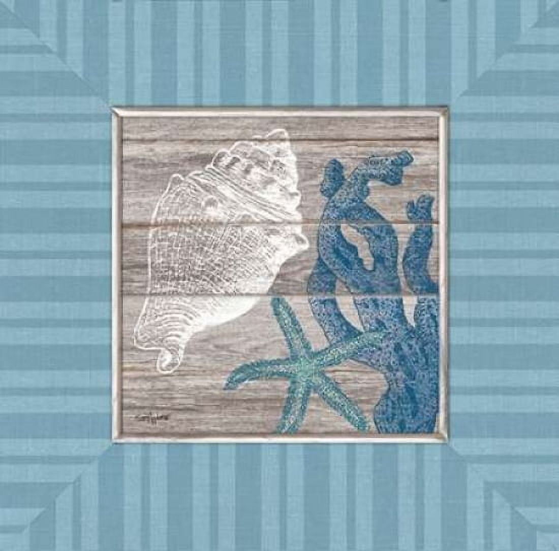 Coastal Treasures Canvas Art - Sam Appleman (24 x 24)