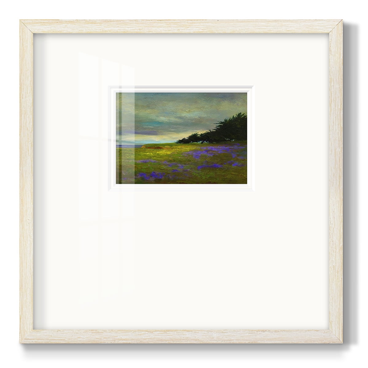 Coastal Views VIPremium Framed Print