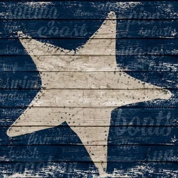 Coastal Wonder IV Poster Print by Gina Ritter (24 x 24)