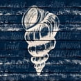thumbnail image 1 of Coastal Wonder VI Poster Print by Gina Ritter (12 x 12), 1 of 2