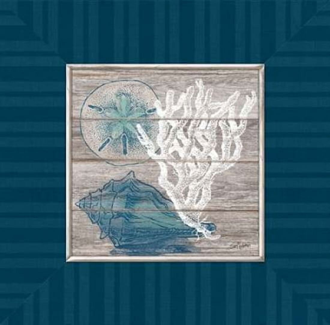 Coastal Wonders Canvas Art - Sam Appleman (24 x 24)