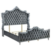 Coaster Antonella Velvet Upholstered Tufted Queen Bed in Gray