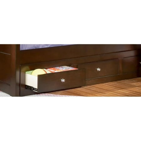 Coaster Jasper Underbed Storage Unit in Rich Cappuccino Finish