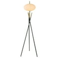 thumbnail image 1 of Coaster Layton Mid-Century Metal White Orb Shade Tripod Floor Lamp in Black, 1 of 6