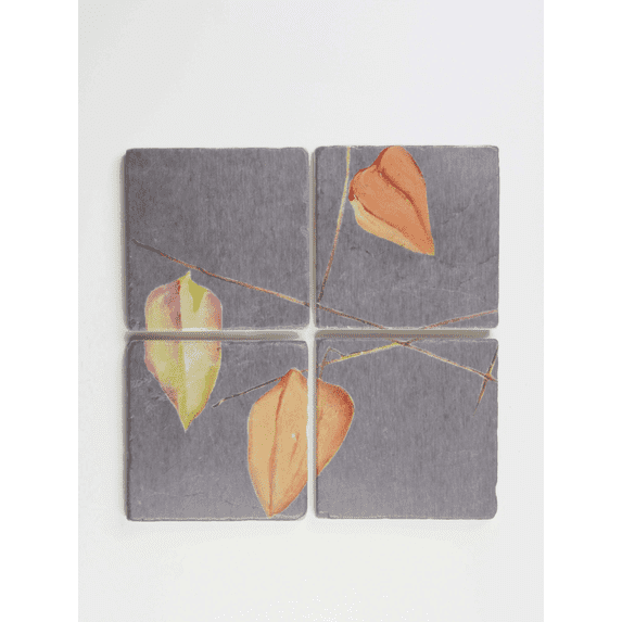 Coaster Set