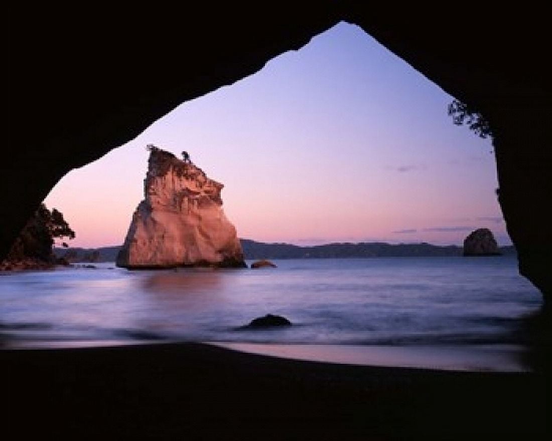 Coastline Cathedral Cove Coromandel Peninsula North Island New Zealand Canvas Art - Charles Gurche DanitaDelimont (20 x 16)