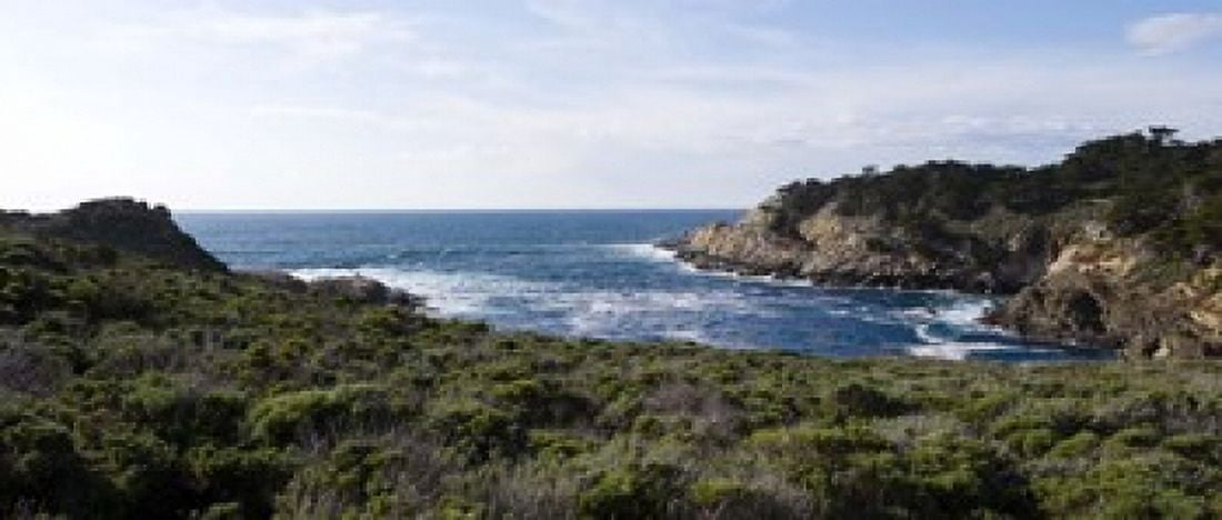 Coastline Point Lobos State Reserve Carmel Monterey County California USA Canvas Art - Panoramic Images (15 x 6)