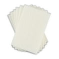 thumbnail image 1 of Coastwide Professional Light Duty Scouring Pad White 60/Pack CW56788, 1 of 2