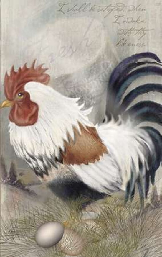 Coat Of Many Colors Rooster Canvas Art - Alma Lee (12 x 18)