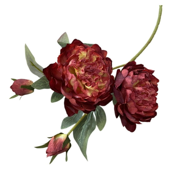 Coated Fabric Peony Artificial Flower, 4 Head Faux Flower with Burnt Edges, Lifelike Silk Flowers for Home Decor, Long Lasting Faux Plant Arrangement