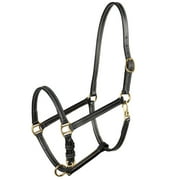 Warmblood Size Horze Fremont Leather Horse Halter Black