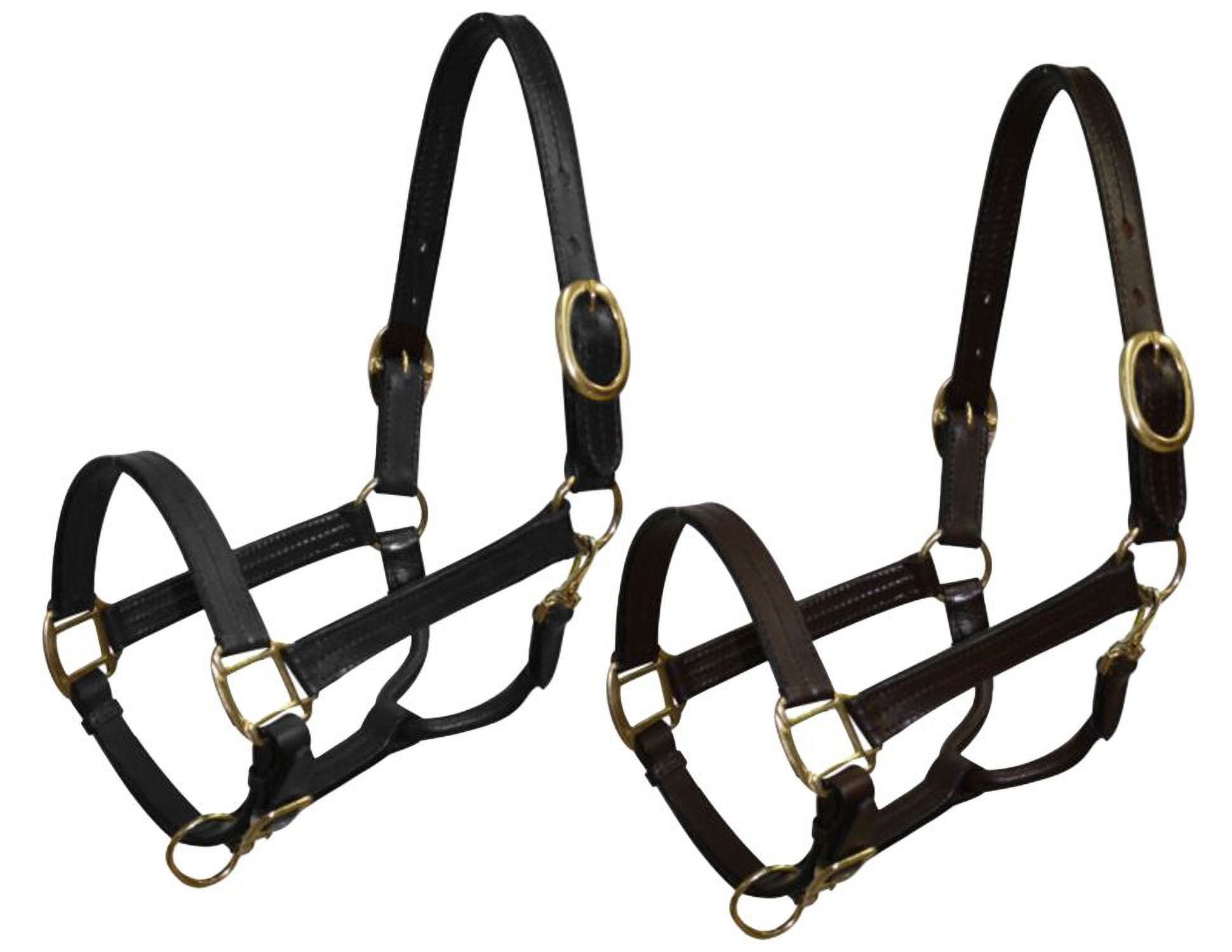 Cob Size Leather Halter w/ Brass Hardware (Brown)