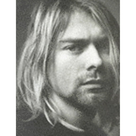 Pre-Owned Cobain (Hardcover) 0316880345 9780316880343