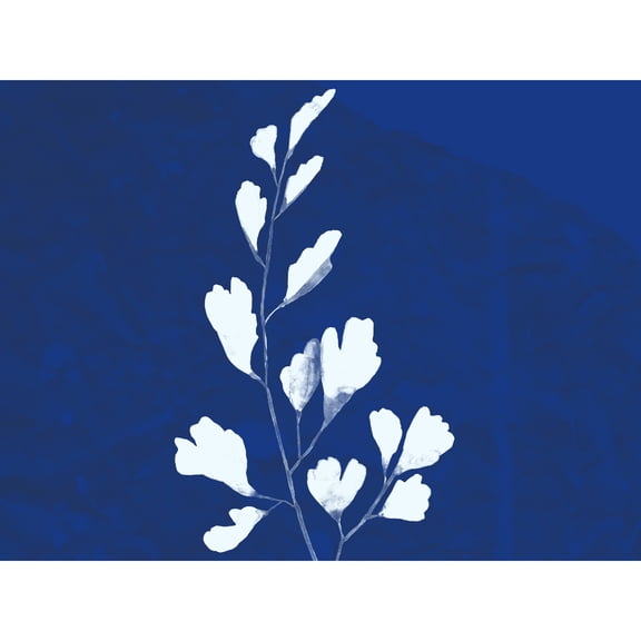 Cobalt Botanics Blue Plant Watercolour Extra Large XL Wall Art Poster Print